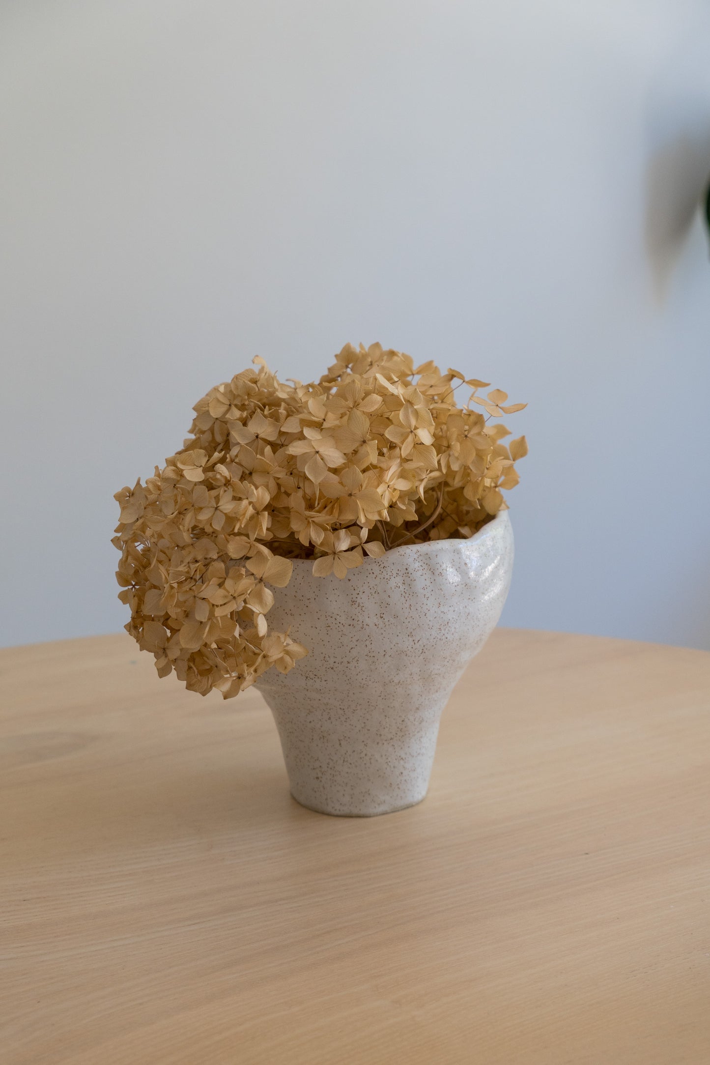 Vase - White Speckle II